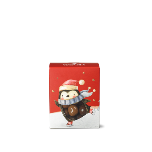 Etui pingouin de Noël garni