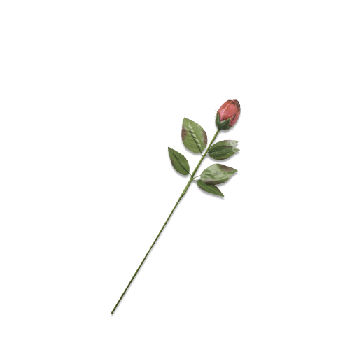 Rose rose en chocolat