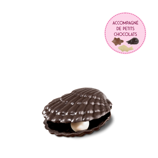 La coquille Saint-Jacques en chocolat noir