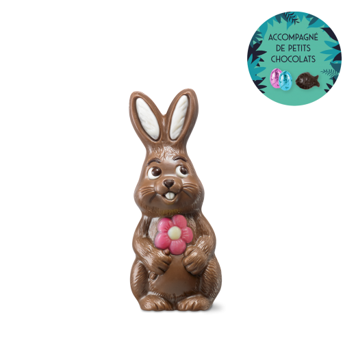 Madame Lapin - chocolat au lait