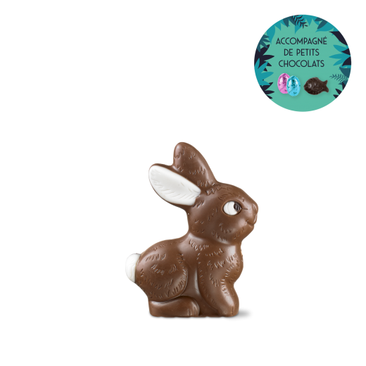 Petit lapin - chocolat au lait