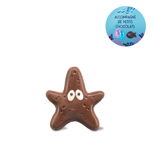 L'étoile de mer - chocolat au lait