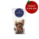 Sachet de petits chocolats de Noël