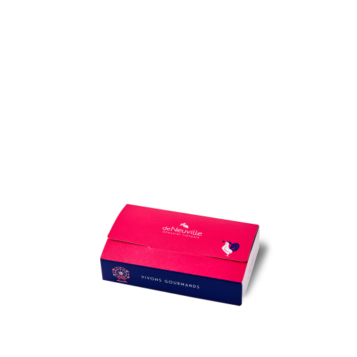 Ballotin de Chocolats 110g