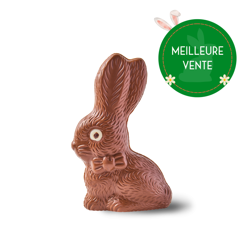 Lapin de Pâques - chocolat au lait