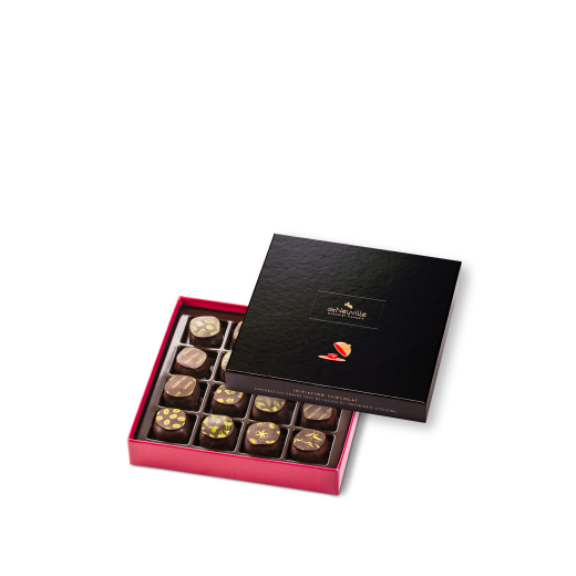 Coffret Initiation 16 ganaches noirs - EMEIS Coffret Initiation 16 ganaches noirs - EMEIS