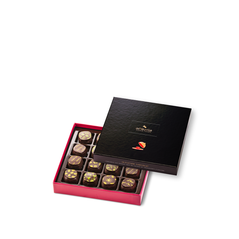 Coffret Initiation 16 ganaches noirs - EMEIS Coffret Initiation 16 ganaches noirs - EMEIS