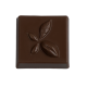 Cabosse chocolat noir