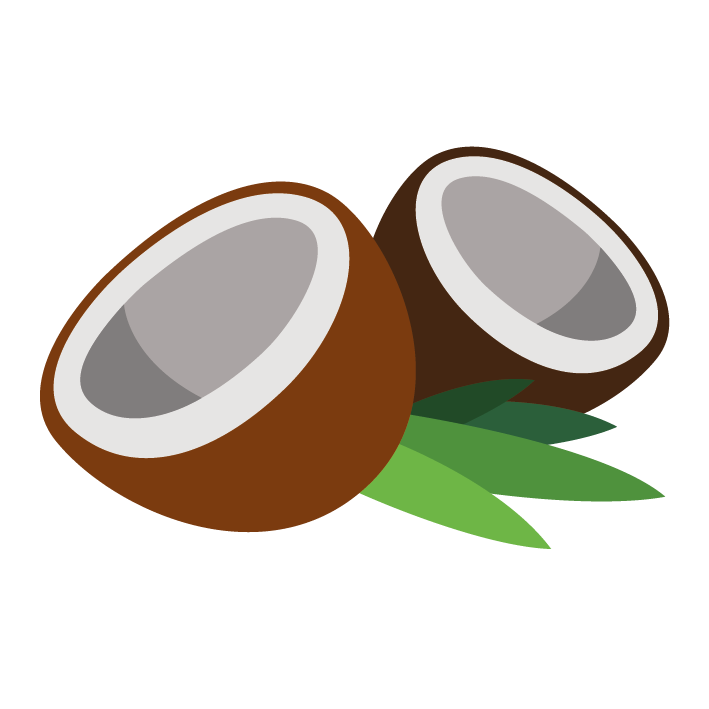 Sorbet De Neuville noix de coco