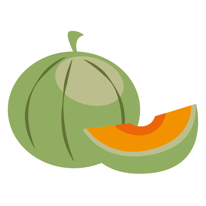 Sorbet De Neuville melon