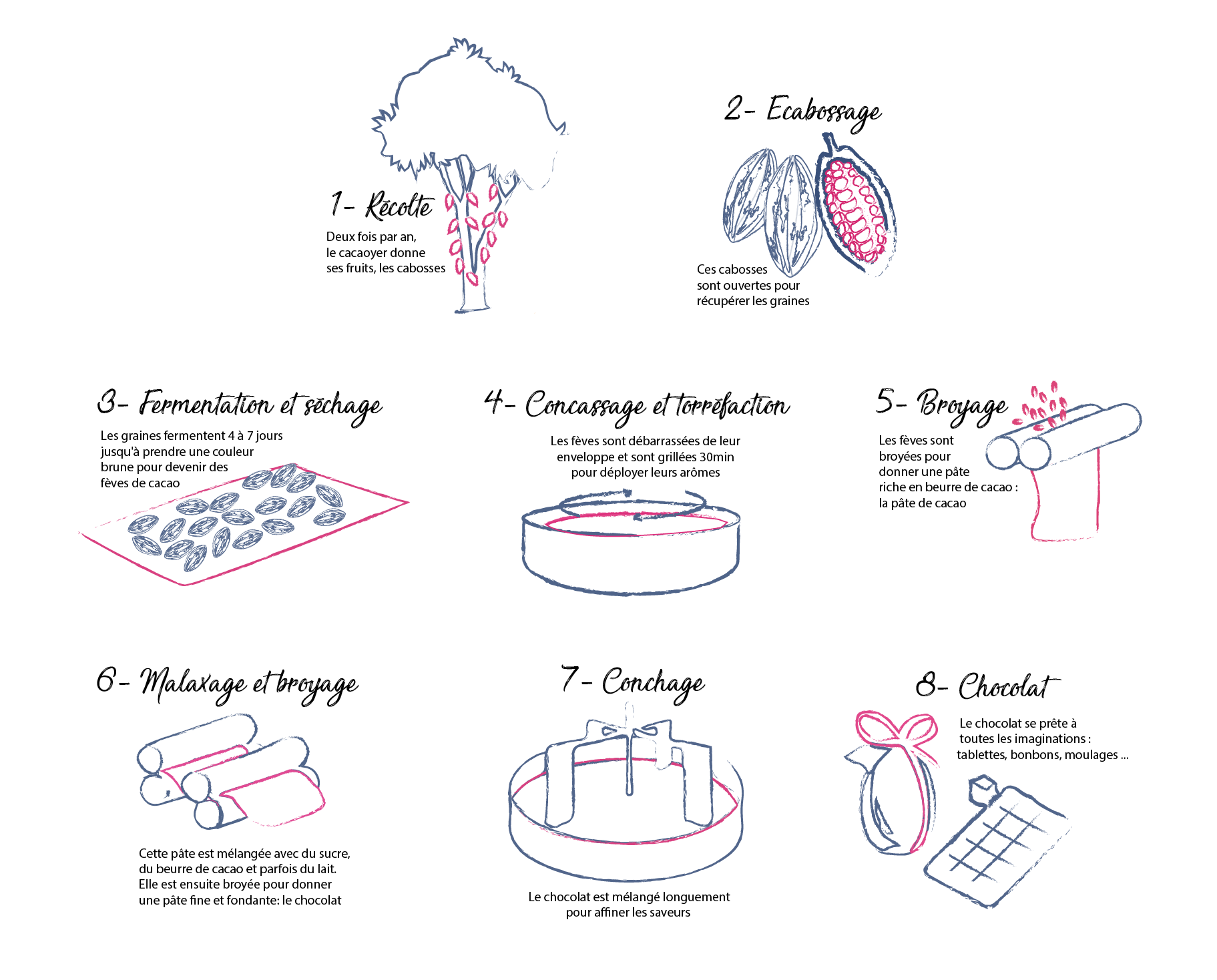 Fabrication du chocolat  ChocoClic, Tout sur le chocolat !