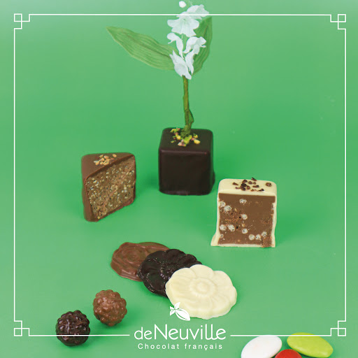 Praliné noisettes 50% en pot - Chocolaterie de Puyricard