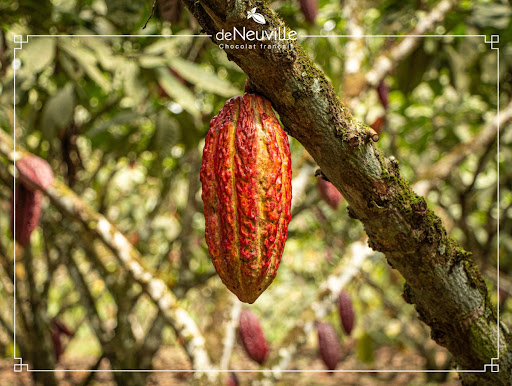 ENGAGEMENTS RSE 2026