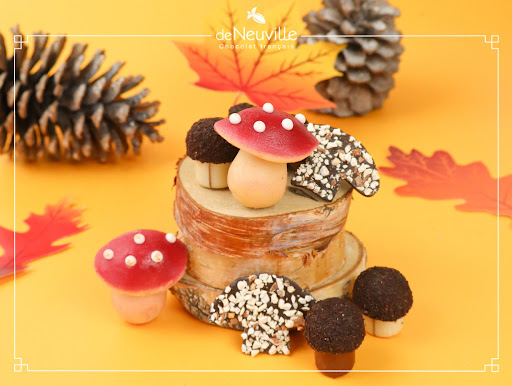 Des champignons pour l'automne